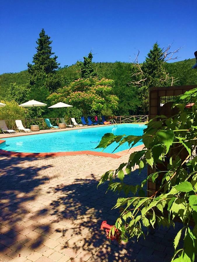 Agriturismo Terenzana Aparthotel Riparbella Exterior foto