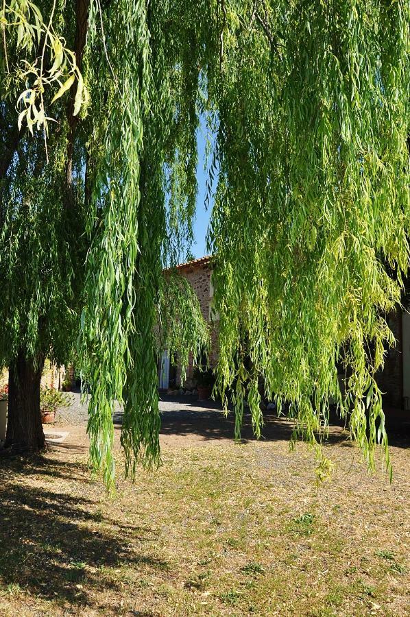 Agriturismo Terenzana Aparthotel Riparbella Exterior foto